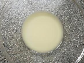 温水加入发酵粉和糖混合均匀。