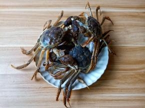 毛蟹用筷子碰一下它的眼睛，看是否眨眼，眨眼表示鲜活。