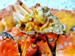 原汁原味！蟹肉鲜嫩！膏似咸蛋黄！营养丰富！