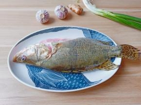 将桂鱼宰杀洗净。