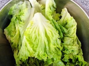 生菜用清水浸泡一会儿干净掰成片状