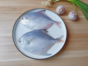 见到有鳞且带着绿油油光的鲳鱼赶紧下手，不管任何烹饪方式都能够让人体会到大自然馈赠给我们的美味！