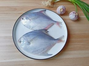 见到有鳞且带着绿油油光的鲳鱼赶紧下手，不管任何烹饪方式都能够让人体会到大自然馈赠给我们的美味！