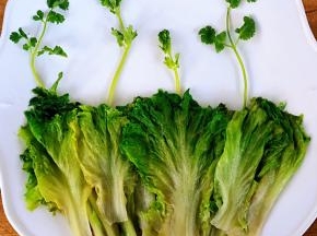 香菜摆在生菜的上面