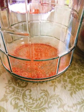 在干净无油无水的玻璃瓶底部撒一层腌料！