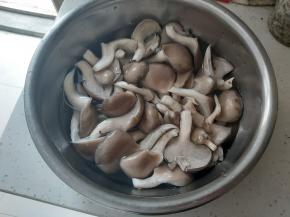 鲜蘑撕成小朵，烫洗过凉，捏干水分。