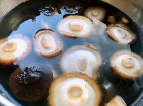 香菇去蒂洗净在开水中焯水煮熟后立即放入冷水中冲凉再沥干水份备用