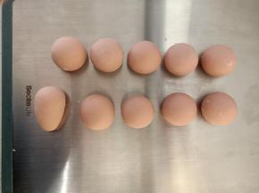 粉色面团平均分成10份，每个25克