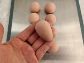 搓成水滴状，稍微细长一些，经过发酵就会变圆润