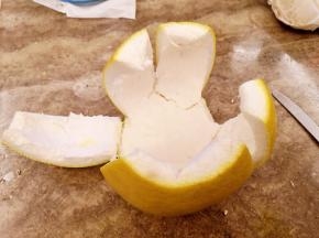 柚子皮