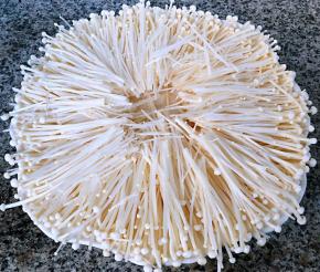 金针菇平铺在盘上