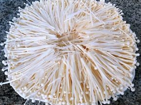 金针菇平铺在盘上