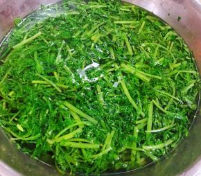 茼蒿摘净洗好放入开水中烫一下立即捞出放入冷水中过凉沥干水份
