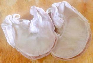 在超市买到半成品新鲜的猪肚一切为二洗净沥干水份