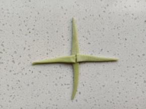 取4片叶子呈十字摆开，表面刷一层牛奶