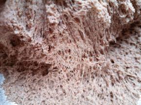 用手抓起面团底部看看，这就是面团发酵好的样子。