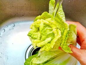 黄芽菜一片片清洗干净。