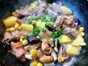 炖制汤汁不多时放入盐和味精调味均匀最后撒上葱花和香菜提鲜即可出锅享用