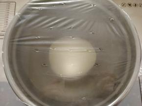 放入干净盆中，盖上保鲜膜室温27-28℃开始第一次发酵，发50分钟左右，看状态两倍大。保鲜膜戳洞，一是为了做标记初始面团多大，二是为了透气。我是放烤箱发酵档28℃发酵的，室温太低了。