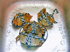 毛蟹用牙刷刷干净。