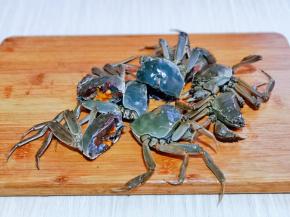 毛蟹用干净的牙刷洗干净，再一切二备用。