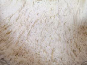 看一下面团，发酵的很好。