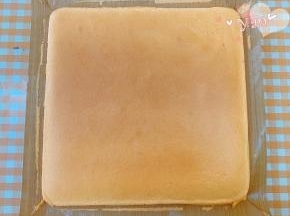 出炉立即提着油布移到晾网上。