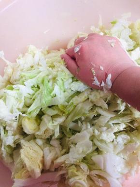 放入少许的盐，用手揉搓均匀！（盐不要放的太多，有一点点的咸味儿即可！盐放的太多，不利于发酵！）