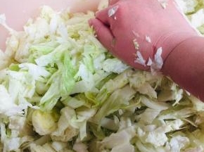 放入少许的盐，用手揉搓均匀！（盐不要放的太多，有一点点的咸味儿即可！盐放的太多，不利于发酵！）