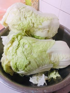 白菜清洗干净，晾干水分备用！