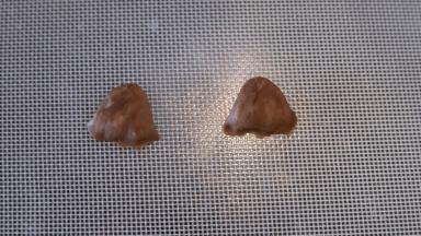 取一点可可面团做耳朵。