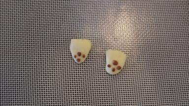 做两只猫猫的爪。