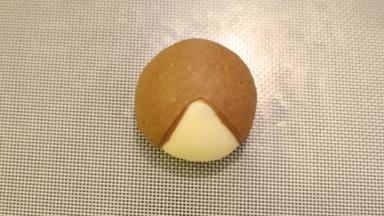 如图般包好另一只狗狗的头部。