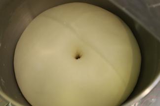 当面团发酵至2倍大时，手沾面粉，插入面团，不塌陷不回缩即发酵好了。