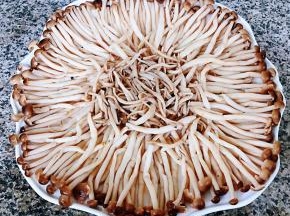 蟹味菇依次摆入盘中这可是需要耐心的噢