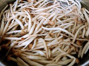 蟹味菇焯好水立即放入冷水中过凉也可以在冷水中浸泡一会儿