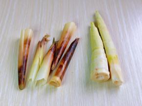 雷竹笋去皮，将老皮全部剥掉。
