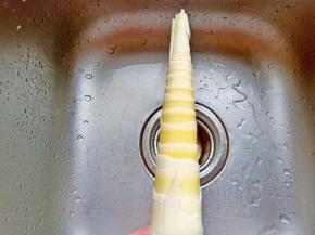 顺着划痕轻轻一剥壳就下来了。