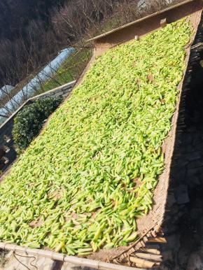 放在阳光下进行晾晒！中途翻动几下！