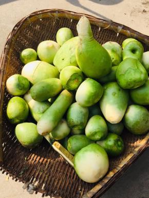 萝卜清洗干净晾干水分备用！