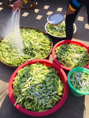 切好的萝卜条撒适量的盐，充分揉搓均匀！