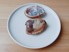 轻轻一挖就出来了，切掉小鲍鱼的内脏部分，壳里残余的肉也刮干净。