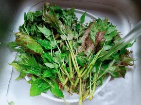 清水将香椿表面的杂质冲洗干净。