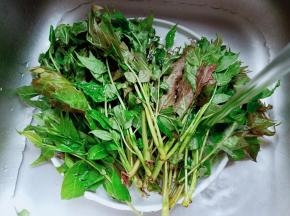 清水将香椿表面的杂质冲洗干净。