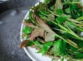 锅里水开放入香椿焯水。