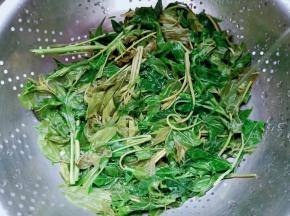 捞出香椿过凉水。