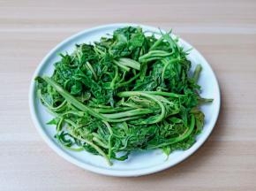 把香椿的水份挤干。