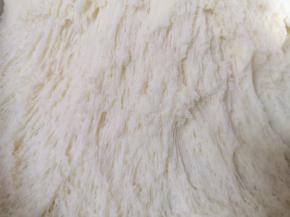 看一下面团，发酵的很好。