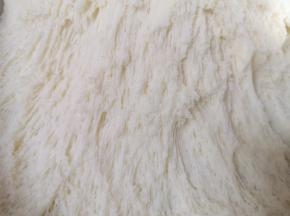 看一下面团，发酵的很好。
