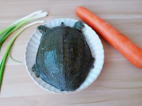 甲鱼外卖刚送到。